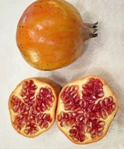 SN Pomegranate Trees - Sirenevyi